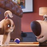 The Secret Life of Pets 2