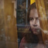 The Woman in the Window