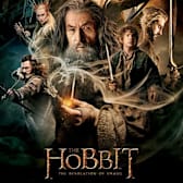 The Hobbit: The Desolation of Smaug