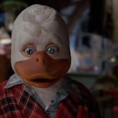 Howard the Duck