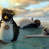 Surf's Up