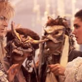 Labyrinth 35th Anniversary