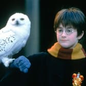 Harry Potter and the Sorcerer's Stone 20th Anniversary