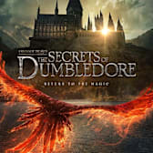 Fantastic Beasts: The Secrets of Dumbledore