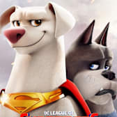 DC League of Super-Pets