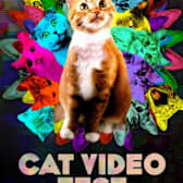 Cat Video Fest 2022