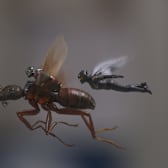 Ant-Man and the Wasp: Quantumania