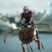 Ant-Man and the Wasp: Quantumania