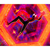 Spider-Man: Across the Spider-Verse