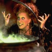 Hocus Pocus 30th Anniversary