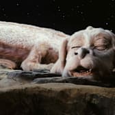 The NeverEnding Story 40th Anniversary