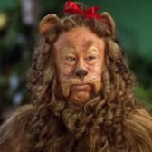 The Wizard of Oz 85th Anniversary
