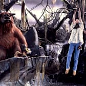 Labyrinth (2024)