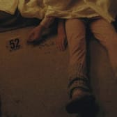 Longlegs