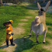 Shrek 2 - 20th Anniversary