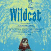 Wildcat