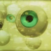 Ghost in the Shell 2: Innocence