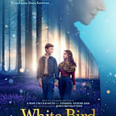 White Bird