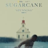 Sugarcane