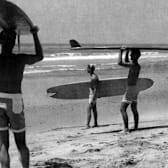 The Endless Summer