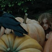 Harry Potter and the Prisoner of Azkaban