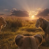 Mufasa: The Lion King