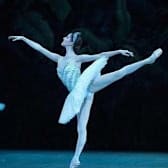 IMAX Presents: SWAN LAKE