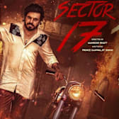 Sector 17
