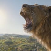 Mufasa: The Lion King