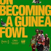 On Becoming a Guinea Fowl