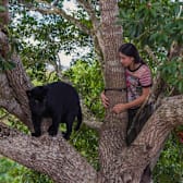Autumn and the Black Jaguar