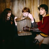 Harry Potter & the Chamber of Secrets (Fathom 2025)