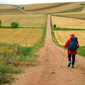The Way, My Way