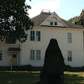 The Woman In The Yard