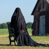 The Woman In The Yard