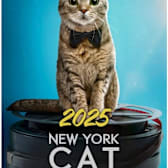 The NY Cat Film Festival