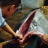 Jiro Dreams of Sushi