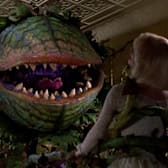 Little Shop of Horrors
