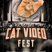 CatVideoFest 2025