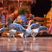 Sight & Sound Presents: NOAH - Live!