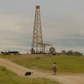 Sarah's Oil