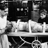 Frankenstein (1931)