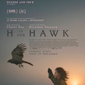 H Is For Hawk