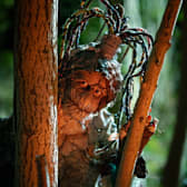 Gale: Yellow Brick Road