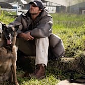 The Dog Stars