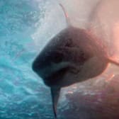 Deep Water