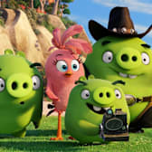 The Angry Birds Movie: 10th Anniversary
