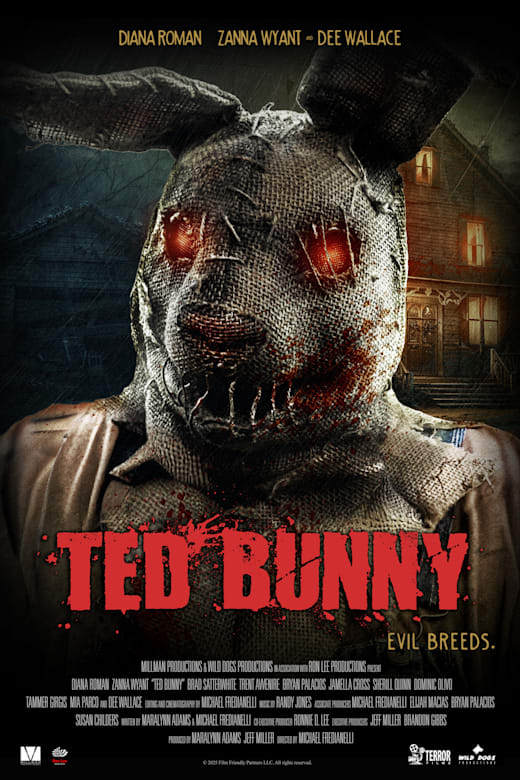 Ted Bunny poster