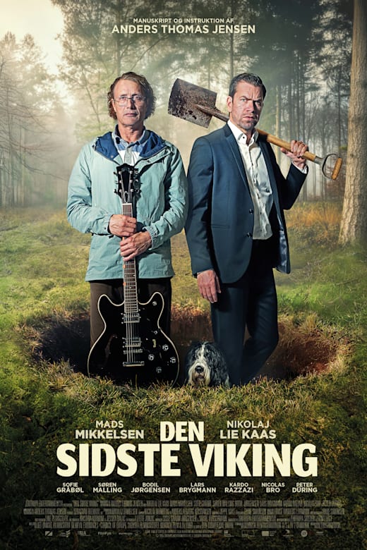 The Last Viking Poster