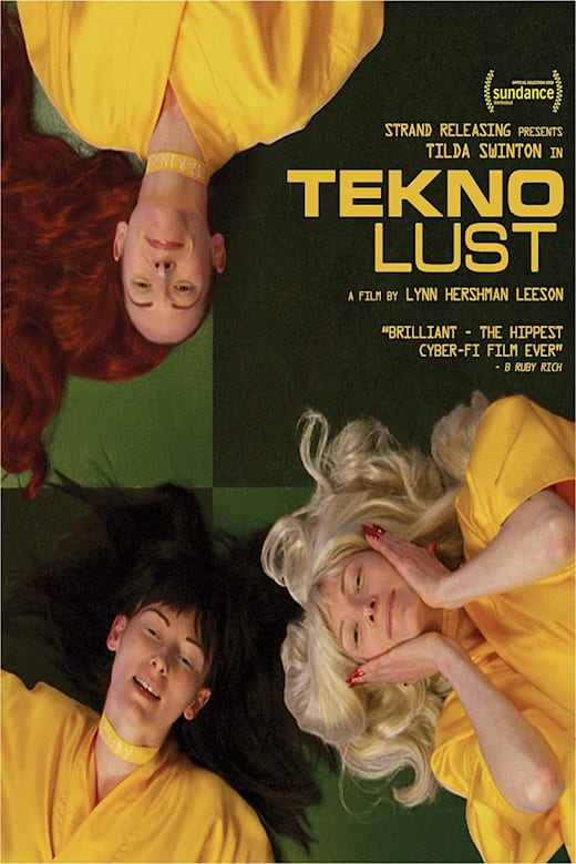 Teknolust poster